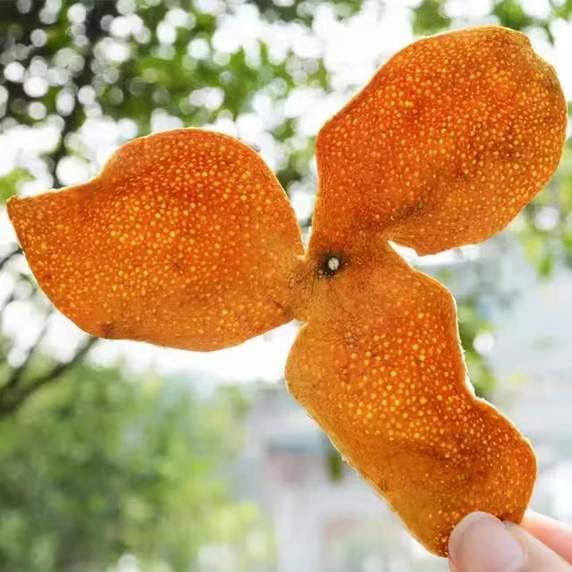 P2021典藏白豪银针500克特级原封原码➕手提袋