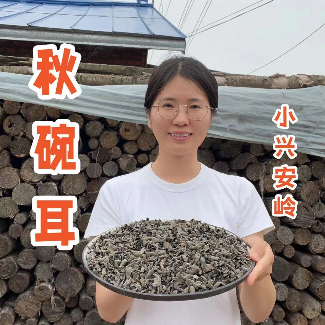 林区胡杨｜头茬秋碗耳 小不点木耳250g 需要泡发6~8小时