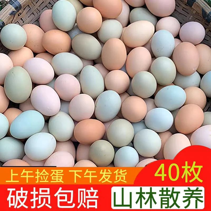 农家新鲜30枚土鸡蛋+10枚绿壳蛋 组合40枚/1600g个头小嫌小勿拍