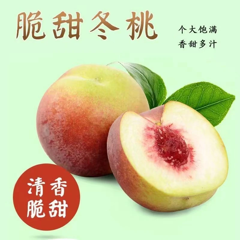 【坏果包赔】正宗沂蒙冬桃蜜桃水蜜桃新鲜桃子应季水果1.5斤3斤5斤