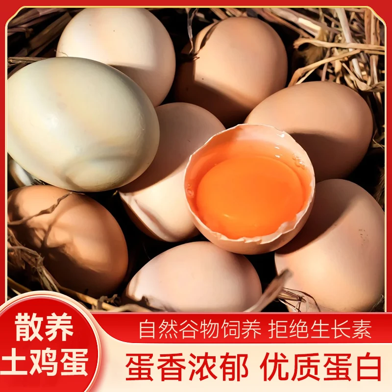 50枚新鲜优质果林散养土鸡蛋现捡现发无抗谷物蛋4-4.5斤-T爆爆