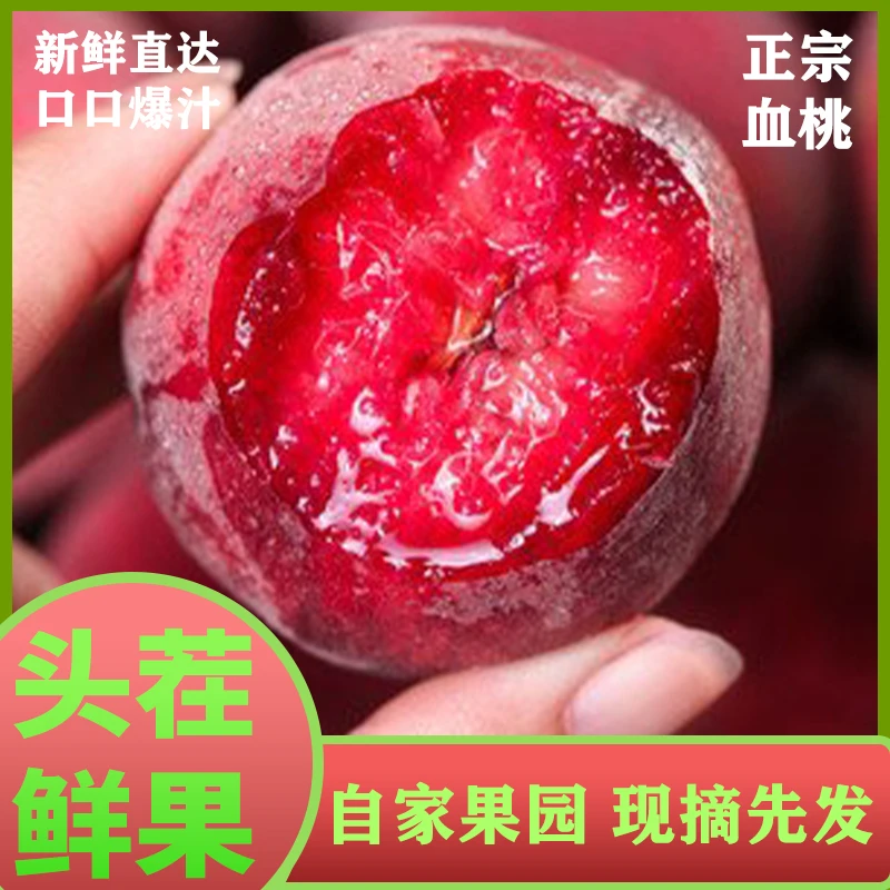 【固始洁子专属】大红桃血桃桃子特产农家桃子甜桃