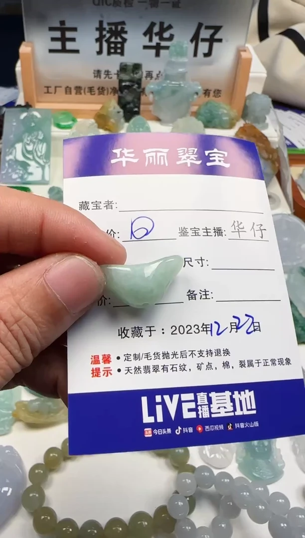 【闪购商品】翡翠颈饰未镶嵌14（多样性发货）