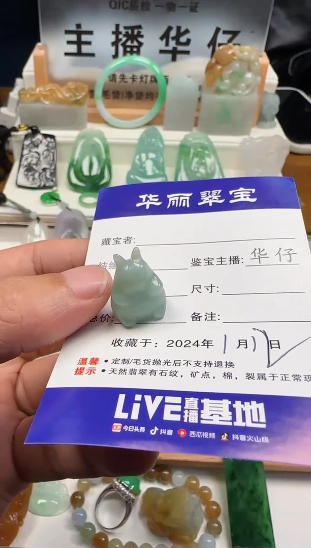 【闪购商品】翡翠颈饰未镶嵌61