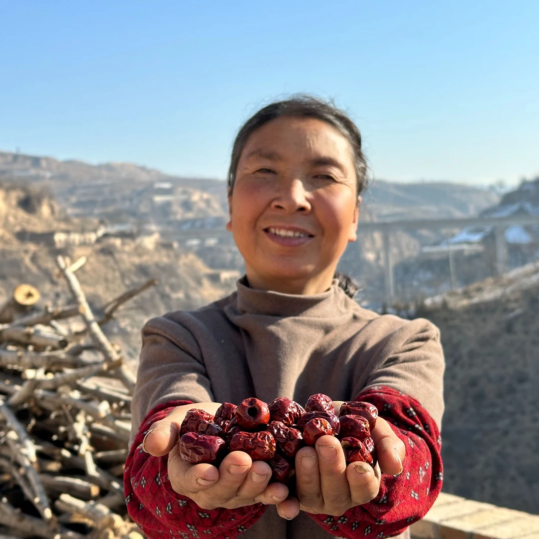 空心枣去核枣脆枣红枣