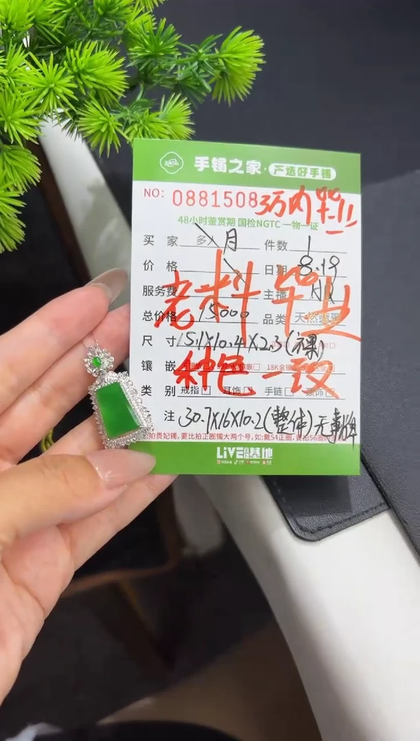 【闪购商品】翡翠颈饰18K金镶嵌翡翠