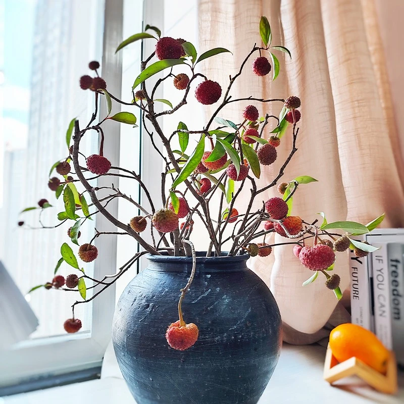 山荔枝果云南基地直发野荔枝鲜切花办公室室内水养植物新鲜插花