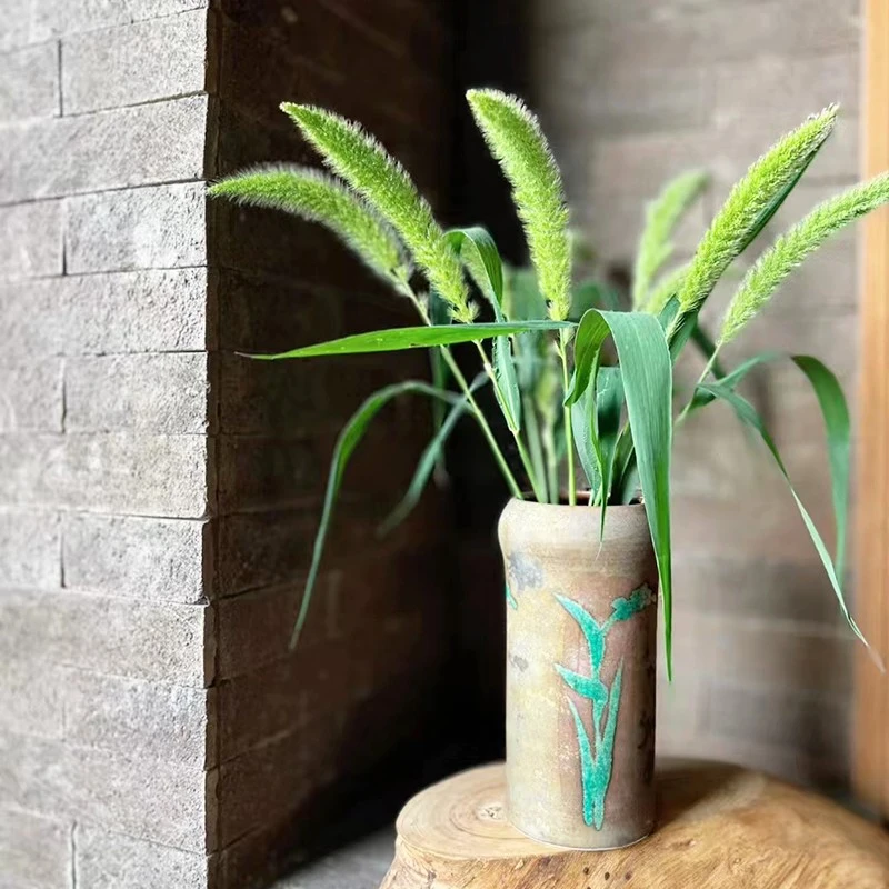 狗尾巴草观赏云南基地直发室内水养新鲜绿色插花配草节日鲜花礼物