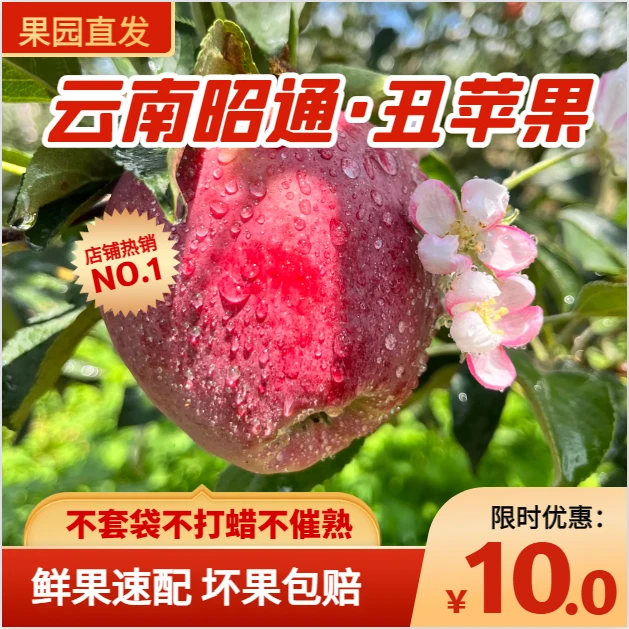 云南昭通丑苹果 红富士 不套袋不打蜡不催熟 5斤8/箱 昭通发货