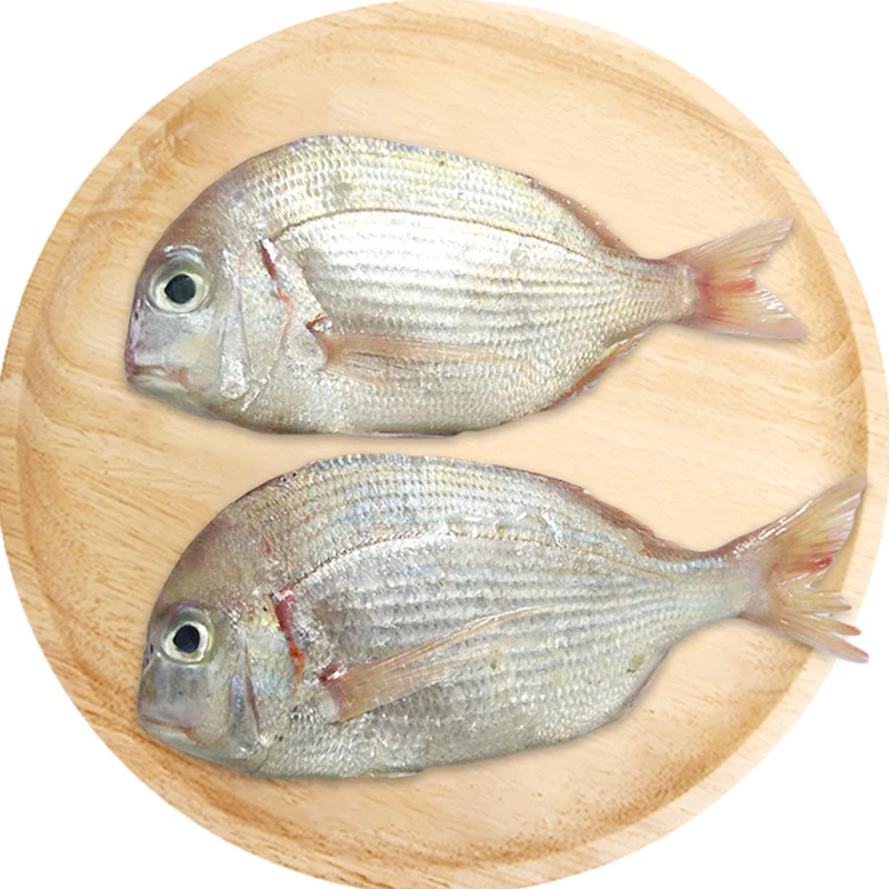 冰鲜赤棕鱼约350g（杀前重量）