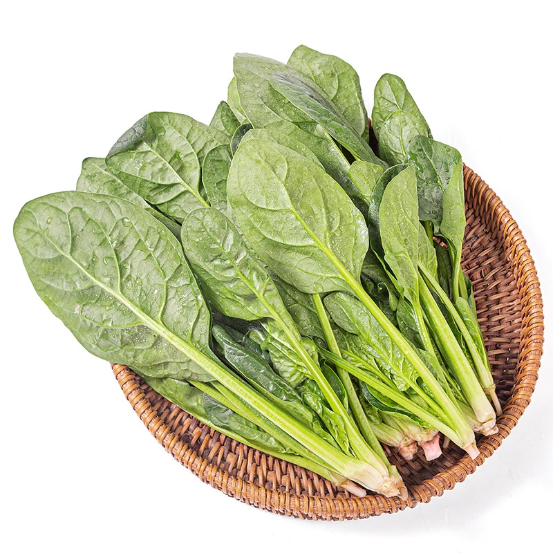 (精品)菠菜苗约300g菠菜