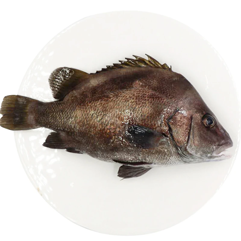 现杀活黑包鱼约650g（杀前重量 活鱼现杀不可退）