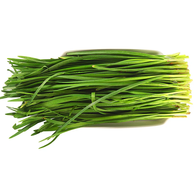 韭菜约100g