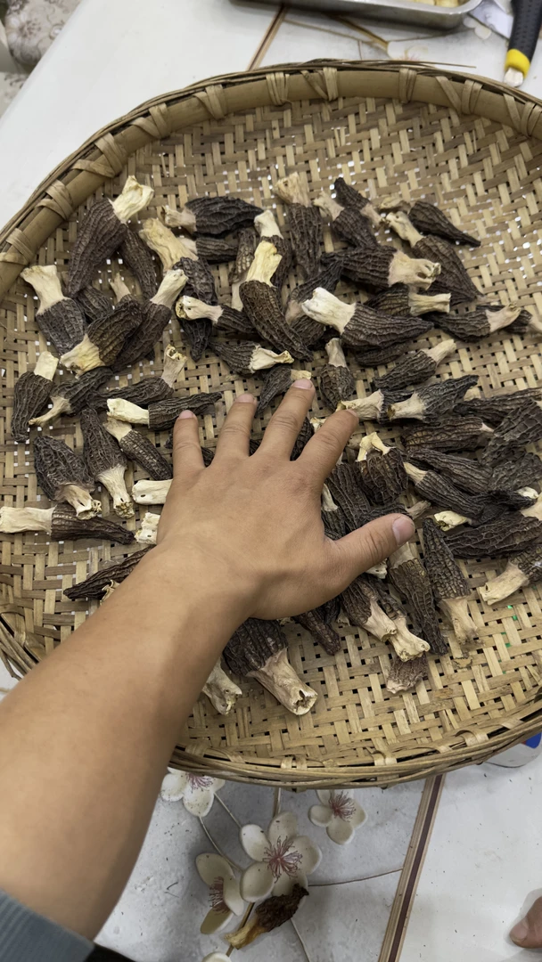 羊肚菌干特价数量有限