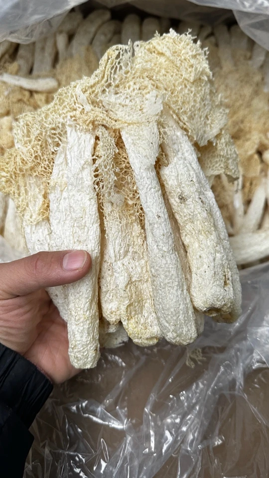 天然无污染无添加的竹荪净重发货无熏硫汤鲜美