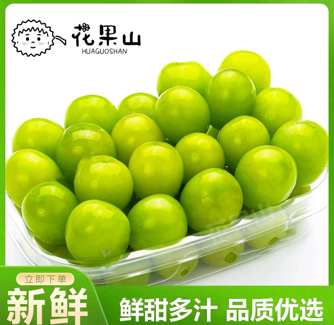 清洗阳光玫瑰葡萄500g一盒