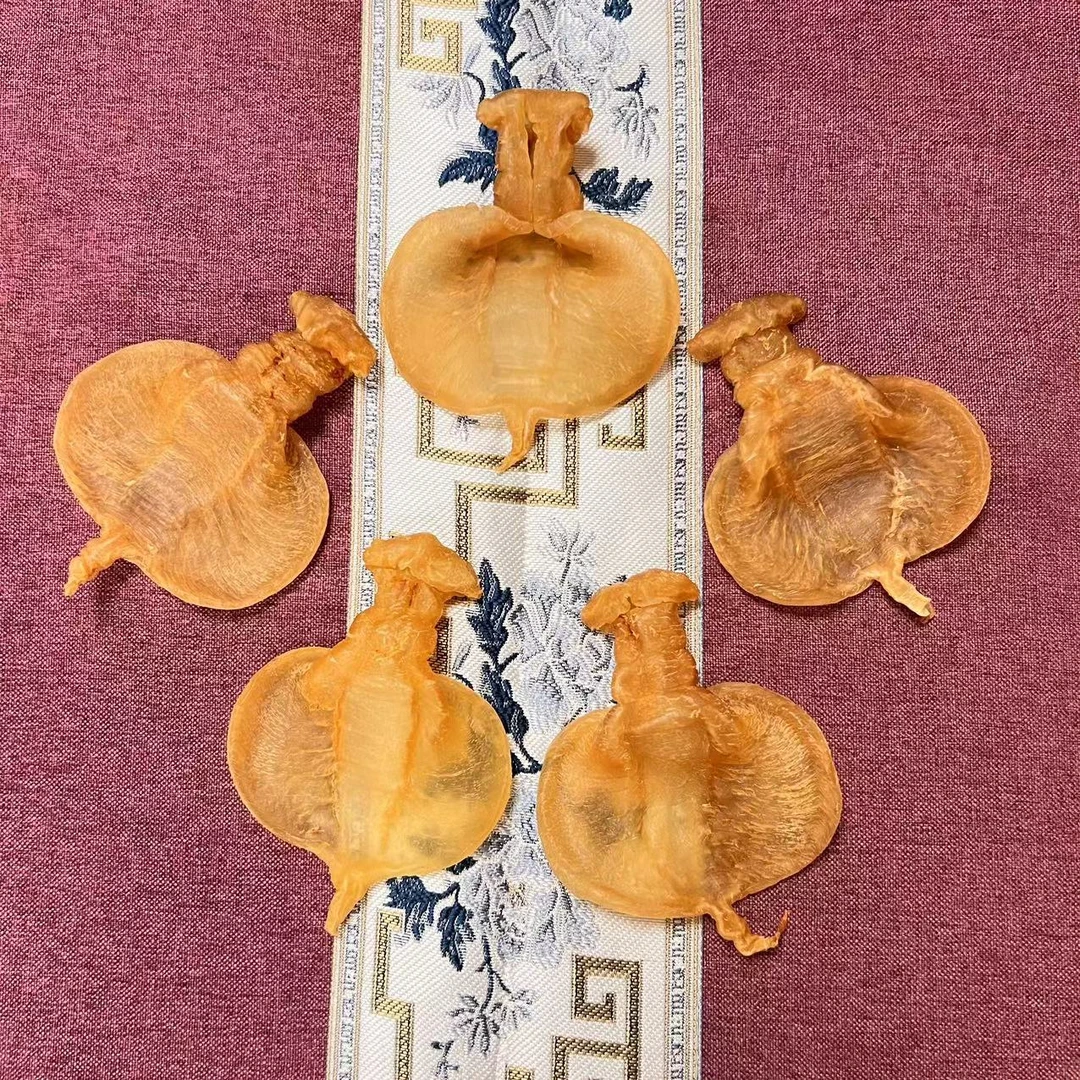 【一德花胶】精品赤嘴