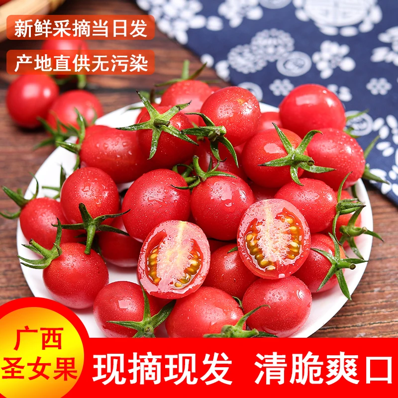【H1】广西圣女果新鲜现摘水果西红柿生吃小番茄产地直发