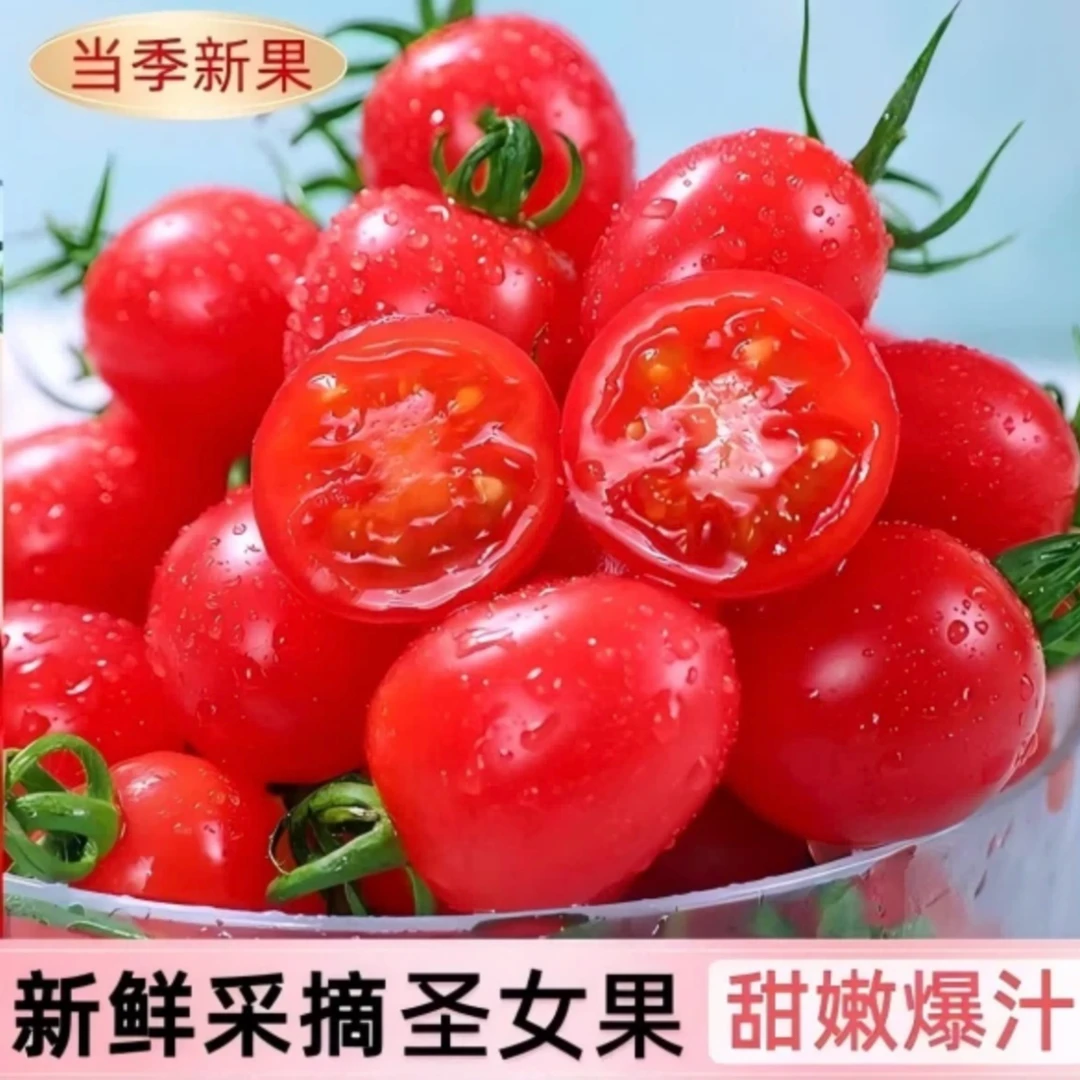 广西圣女果带箱5斤个个饱满新鲜采摘水果西红柿小番茄