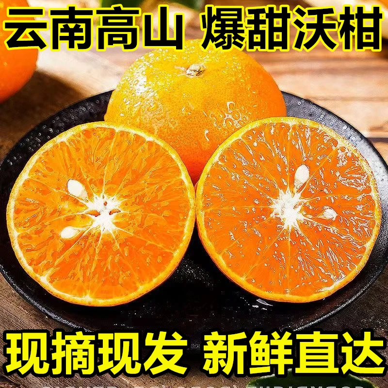 新鲜沃柑云南高山种植现摘花皮沃柑带箱9斤5斤厚皮有籽沃柑多规格