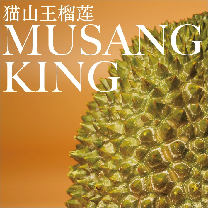 马来西亚 猫山王 D197  榴莲