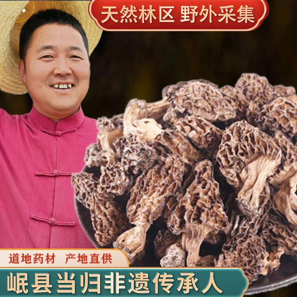 野采甘肃岷县野外采集羊肚菌50克天然药材