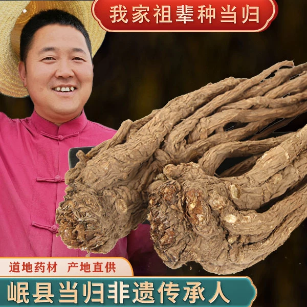 【当归哥】当归250克药材甘肃岷县无熏硫滋补泡水煲汤整根