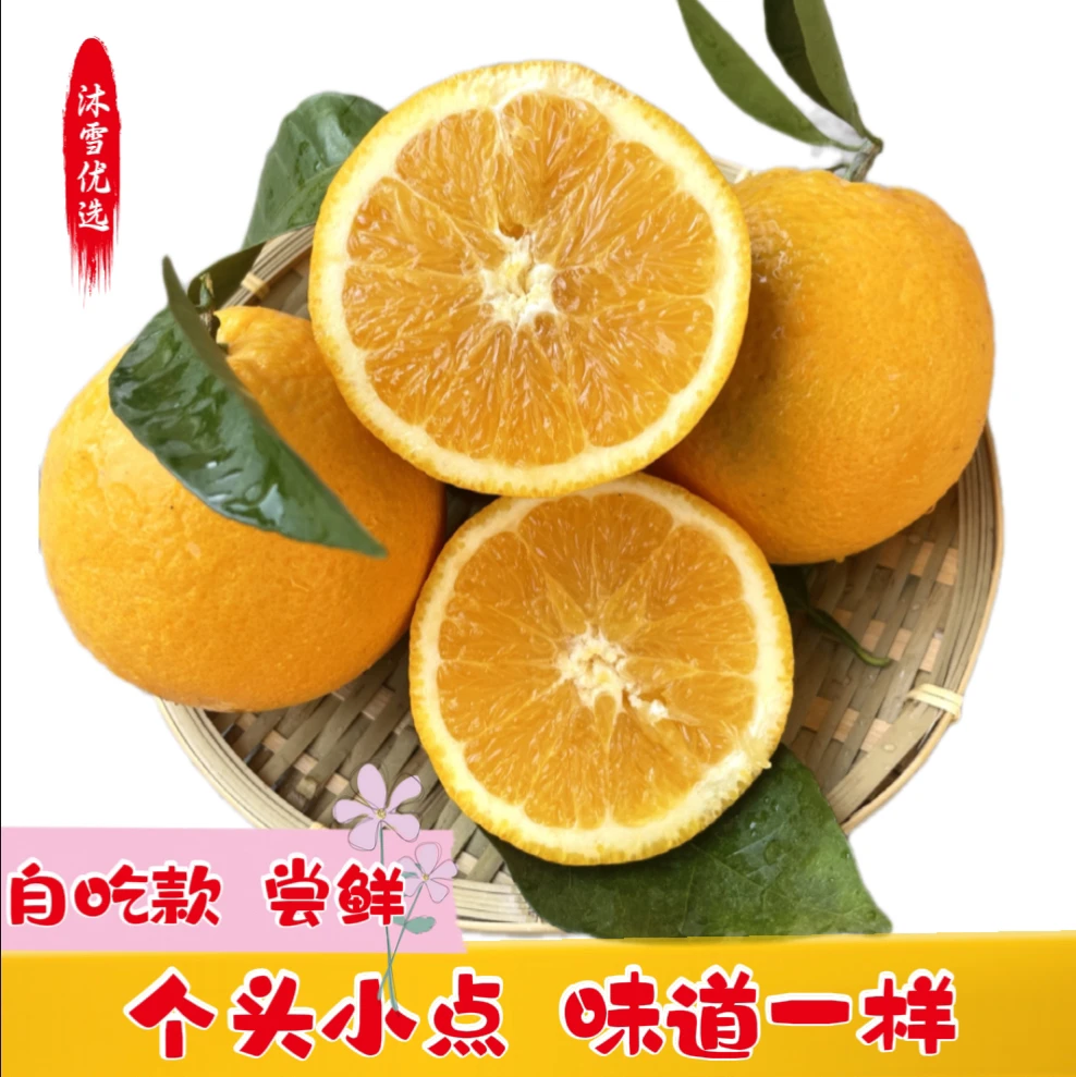 自然天成 奉节脐橙【自吃款尝鲜】个头小点，味道一样