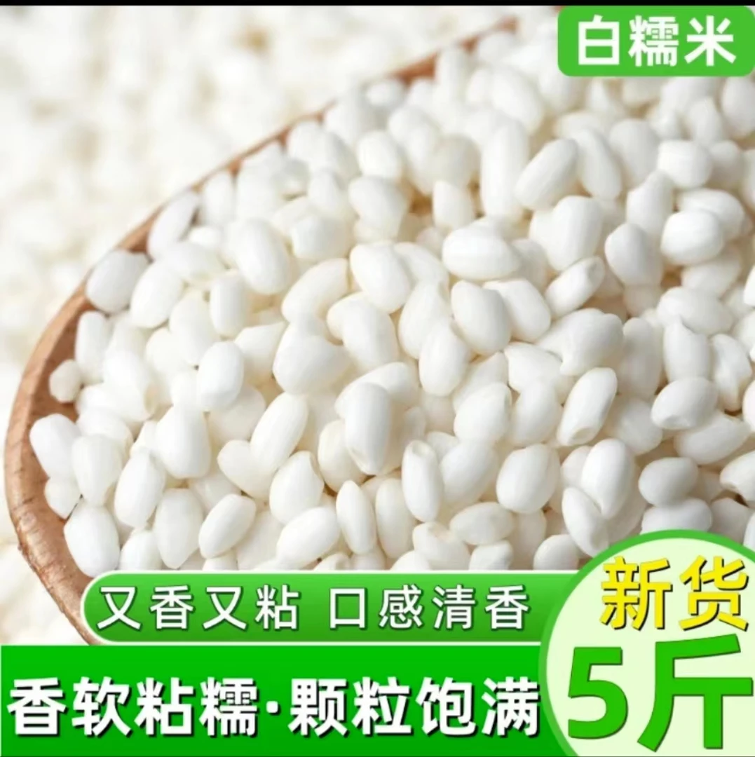 新糯米新米5斤东北圆粒香糯米新鲜纯白江米酒酿米包粽饱满食用