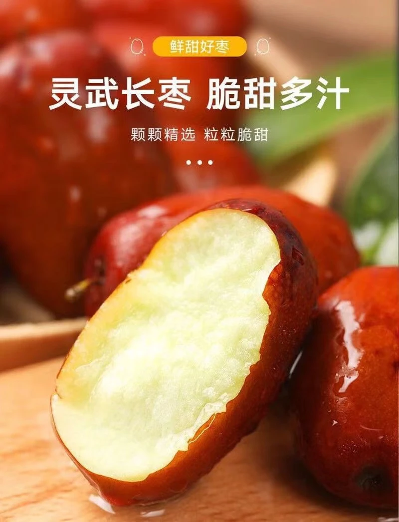 宁夏灵武长枣大枣新鲜采摘现摘现发1斤/3斤/5斤/整箱包邮皮薄肉厚