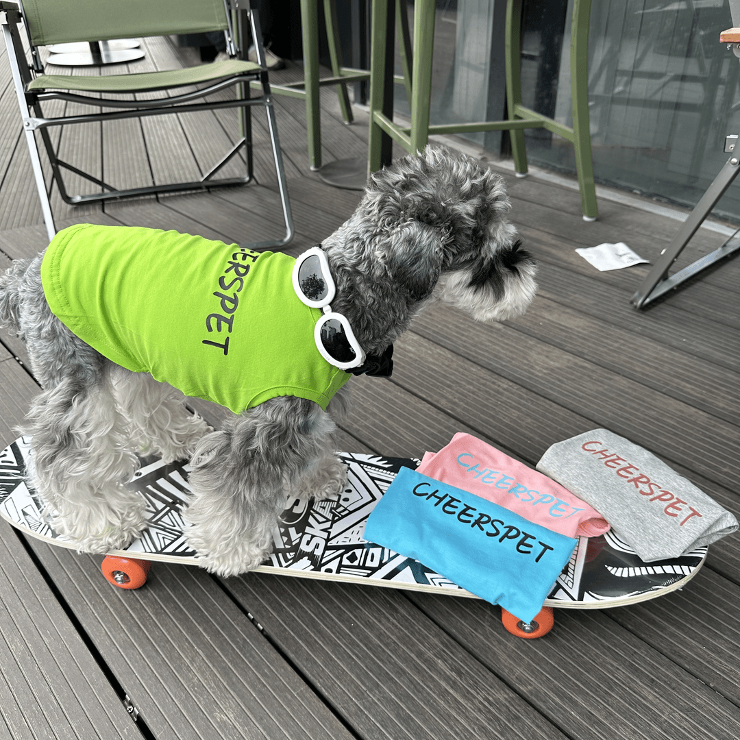 PT狗狗衣服夏季薄款背心雪纳瑞比熊泰迪柴犬马尔济斯西高地潮酷