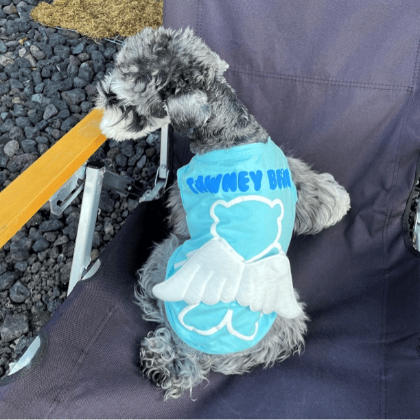 狗狗背心翅膀泰迪比熊猫咪博美雪纳瑞贵宾小型犬宠物衣服夏季薄款