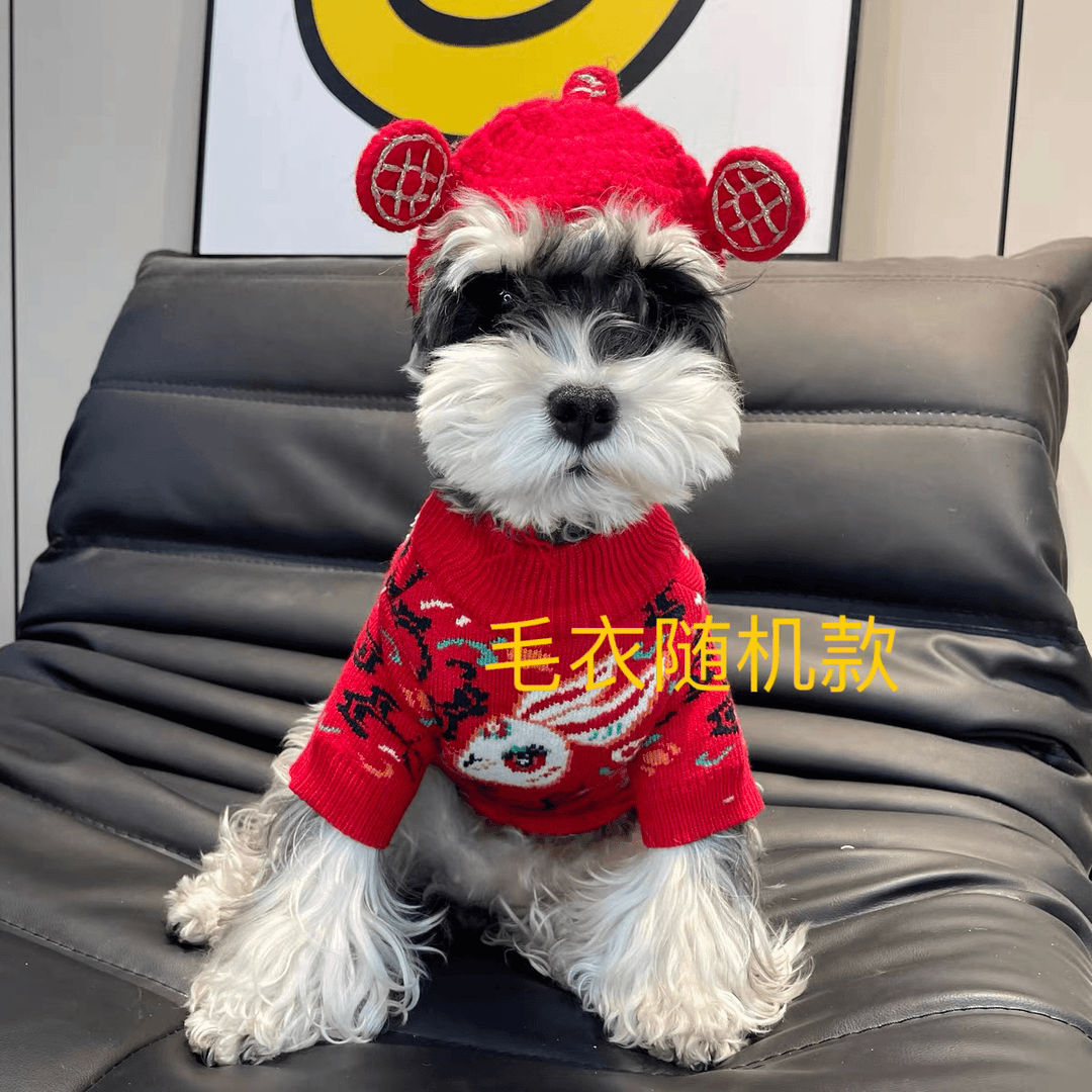冬季狗狗毛衣随机款