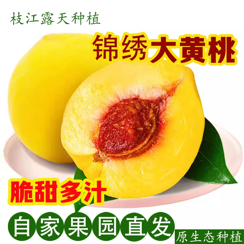 安福寺镇锦绣黄桃肉厚多汁脆甜农家自种水果产地直发十斤礼盒包邮