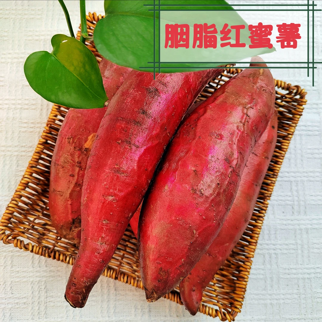 【胭脂红蜜薯】早餐代餐粗粮饱满优质新鲜皮薄粉糯香甜沙地2024五斤