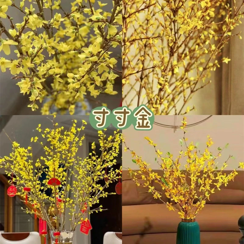【寸寸金】鲜花带花苞室内外水培植物鲜切花年宵花卉
