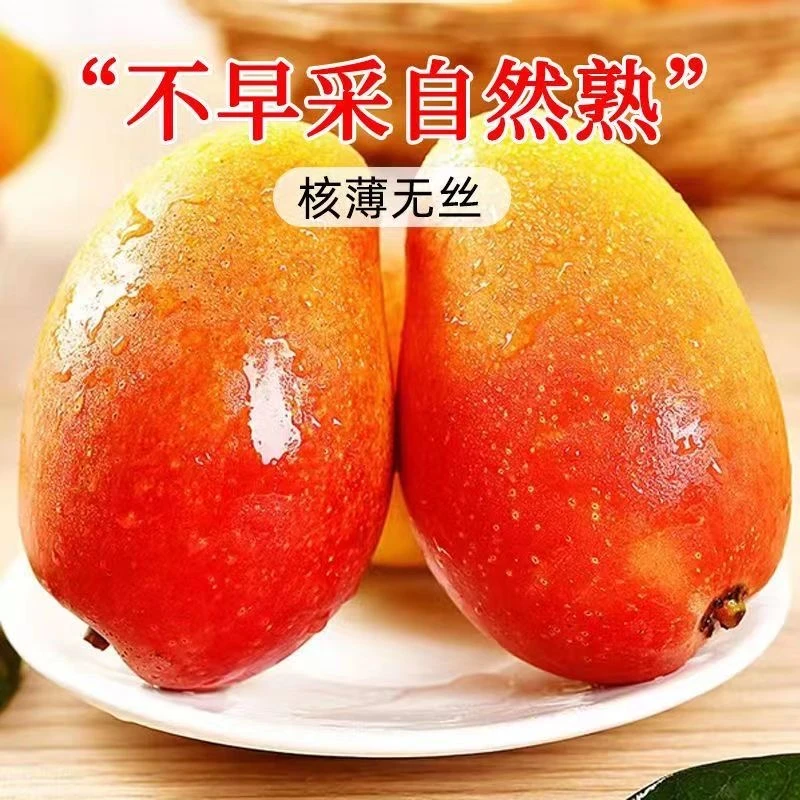 【现摘现发】树熟贵妃芒果新鲜热带水果鲜甜多汁果园直发