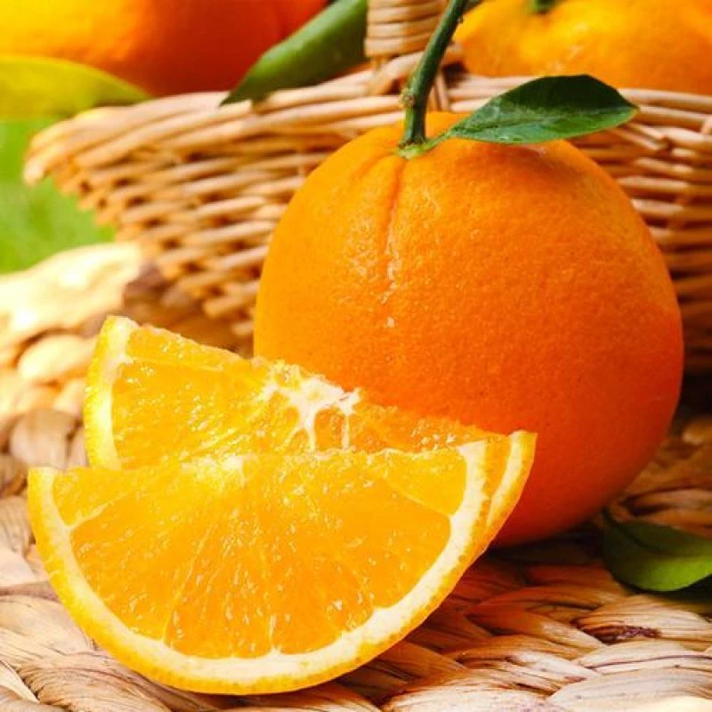 金晚橙 橙子新鲜水果大果甜橙 3斤