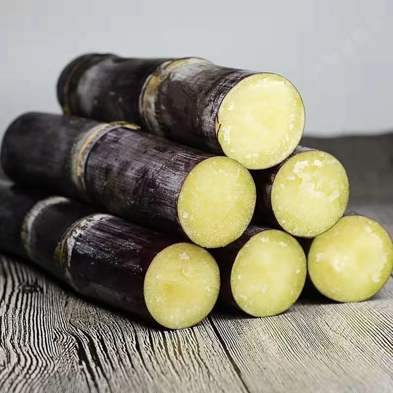 正宗广西紫皮甘蔗薄皮超甜老品种甜杆