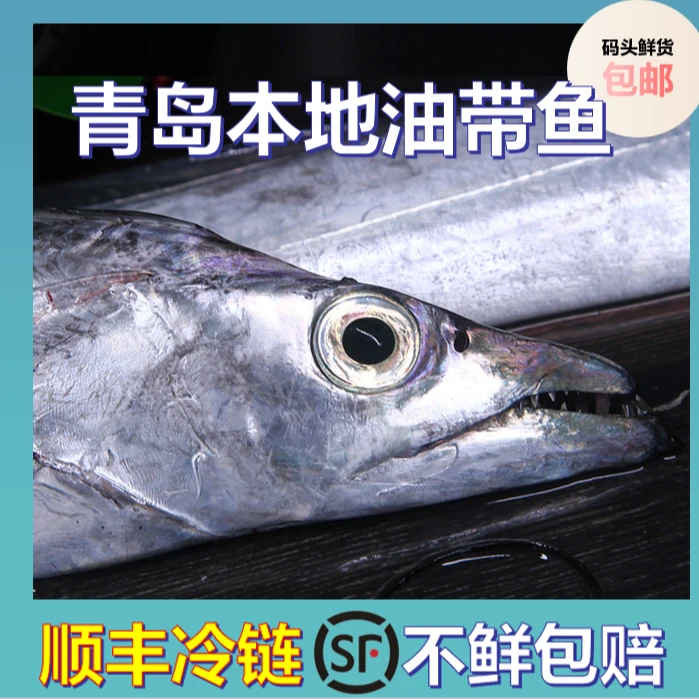 1正宗青岛小眼油带鱼新鲜速冻大号5-6条共4斤（介意破肚花鳞慎拍）