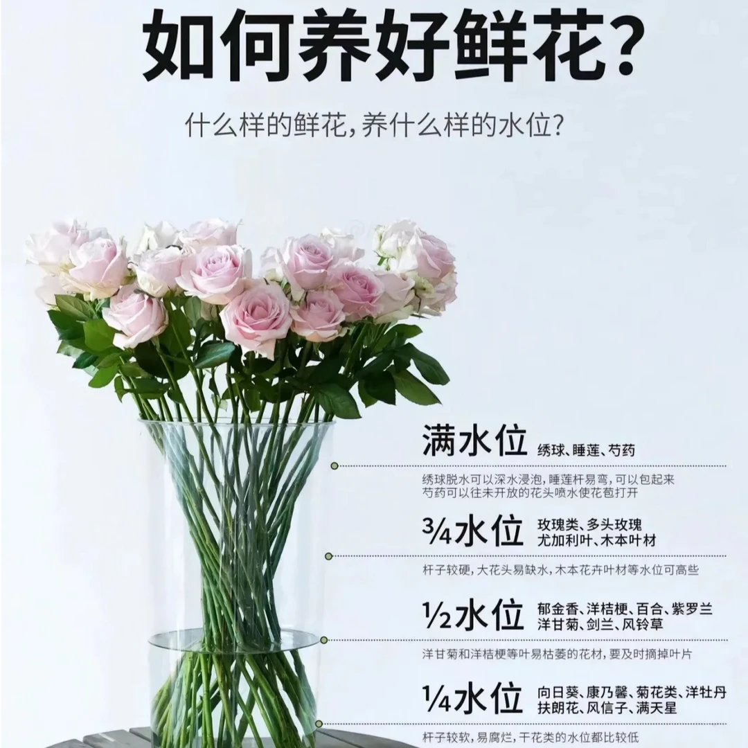 【A3玫瑰鲜花组合】昆明斗南基地直发新鲜家庭用花顺丰京东包邮到家