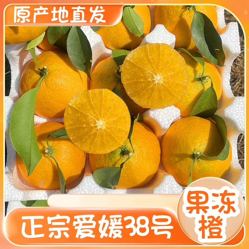 「新鲜采摘」正宗四川眉山爱媛38号果冻橙新鲜爆汁手剥橙产地直发
