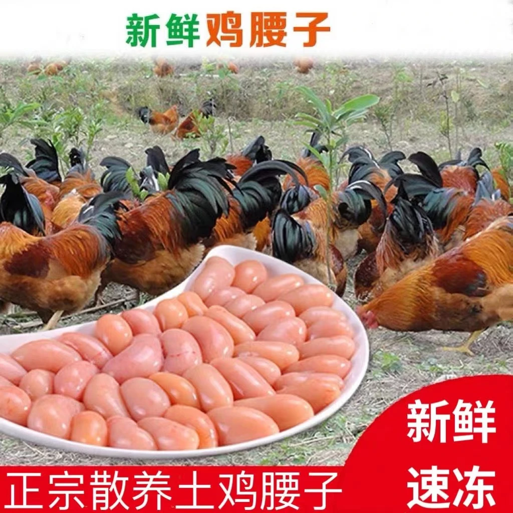 【顺丰冷链】新鲜老公鸡腰子鸡哈鸡腰公鸡睾子鸡肾公营养冷冻鸡卵子
