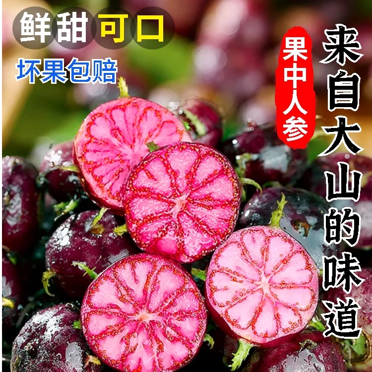 【坏果包赔】云南红果参新鲜水果当季蜘蛛果罕见现摘包邮珍惜