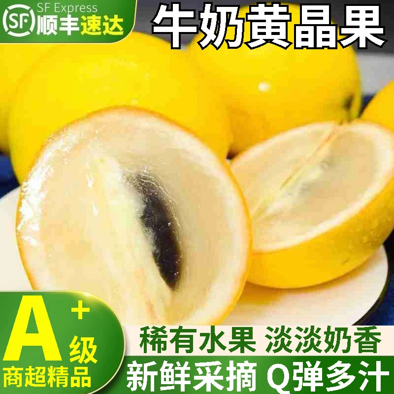 【顺丰航空】云南冬蜜黄晶果罕见稀有水果果冻口感黄金牛奶果雅美果