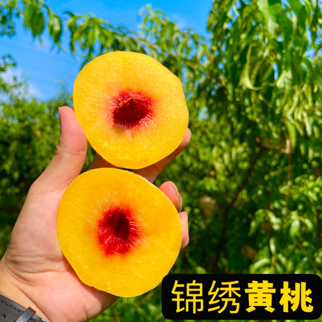 [套袋]锦绣黄桃 香甜多汁净重4.5-5斤 应季新鲜水果 农家果园直发