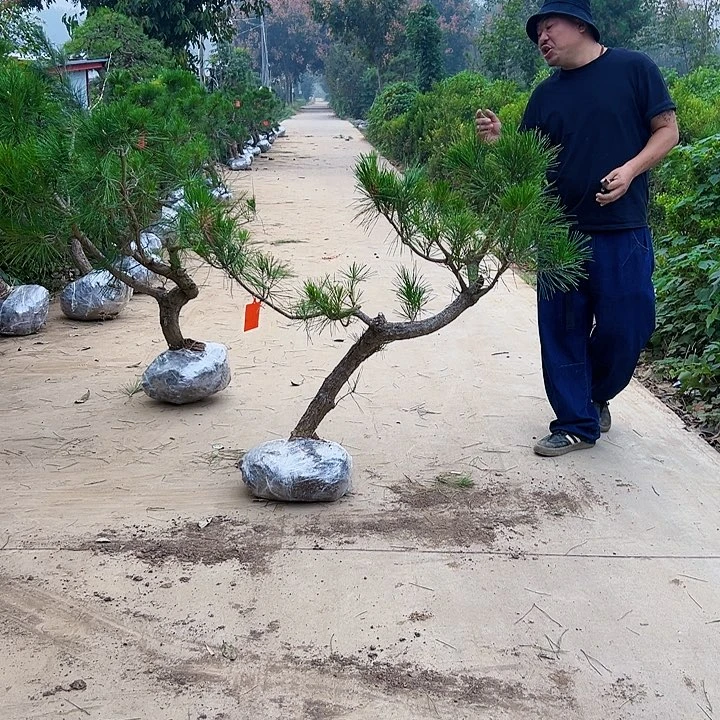 李*福88888888888888