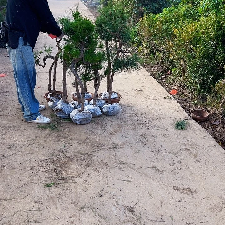 6*665888888888888888