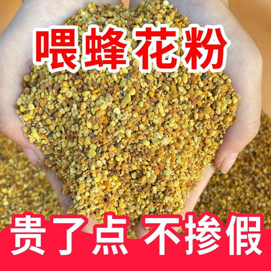 油菜杂花粉养蜂喂蜂发酵花粉天然花粉颗粒蜂粮喂蜂蜜蜂天然