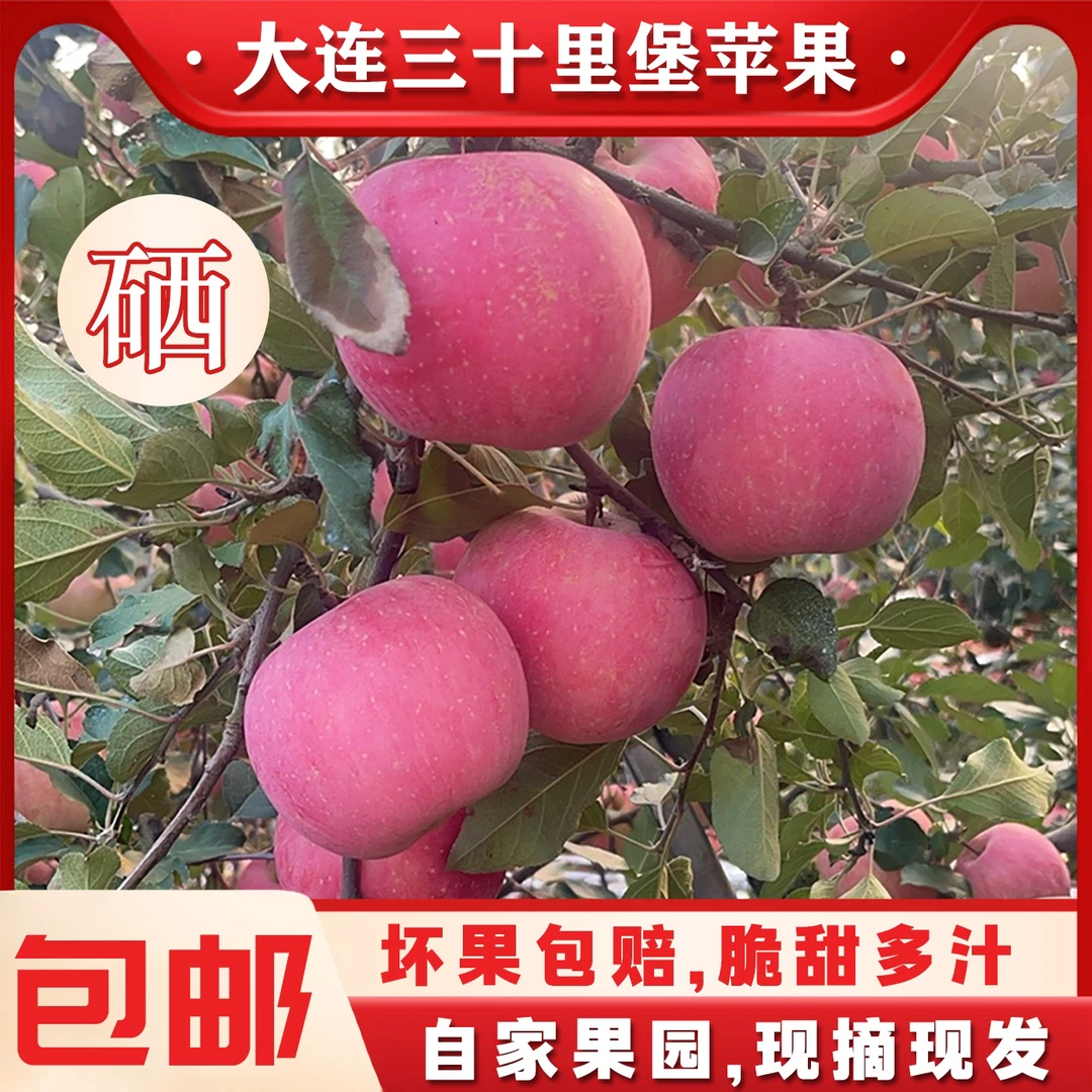 10斤装大连三十里堡富硒红富士